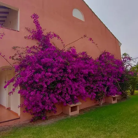 Apartment Climatizzato Di 42 Mq A Marina Di Bravone A 200m Dalla