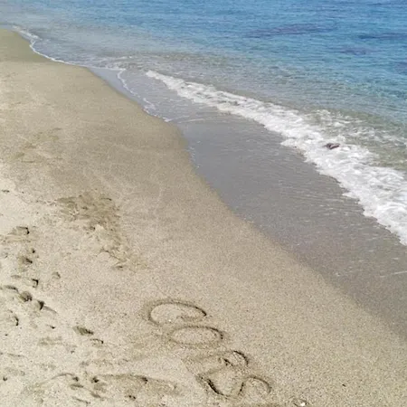 Climatizzato Di 42 Mq A Marina Di Bravone A 200m Dalla