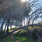 Climatizzato Di 42 Mq A Marina Di Bravone A 200m Dalla דירה