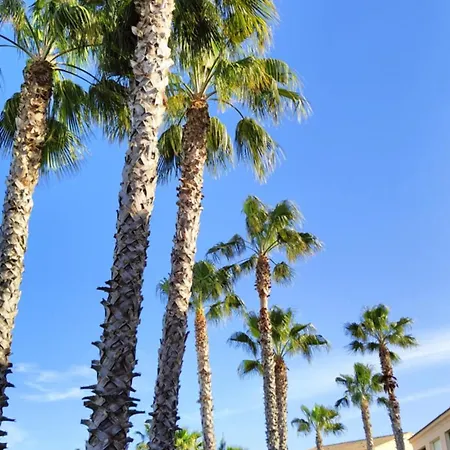 Climatizzato Di 42 Mq A Marina Di Bravone A 200m Dalla * Linguizzetta