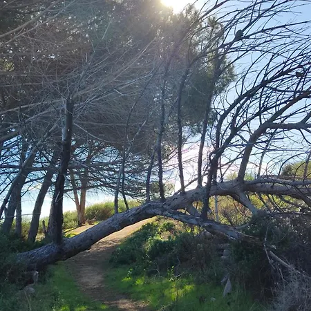 Climatizzato Di 42 Mq A Marina Di Bravone A 200m Dalla Appartement