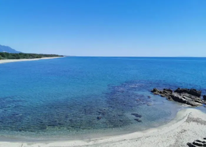 Appartamento Climatizzato Di 42 Mq A Marina Di Bravone A 200m Dalla