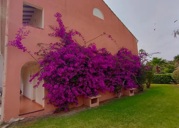 Daire Climatizzato Di 42 Mq A Marina Di Bravone A 200m Dalla