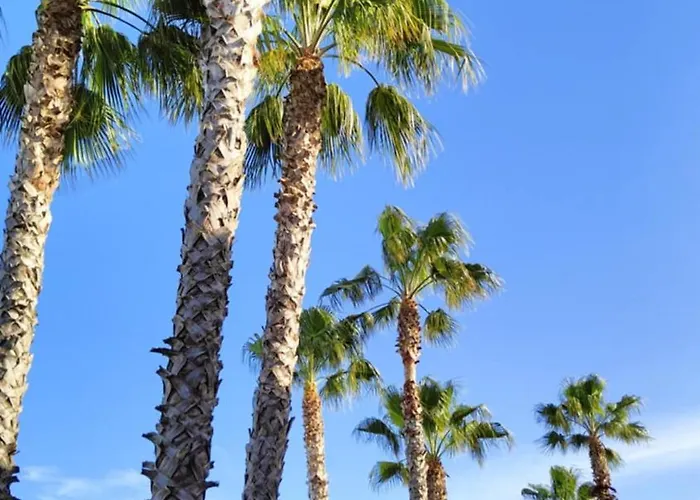 Climatizzato Di 42 Mq A Marina Di Bravone A 200m Dalla * Linguizzetta