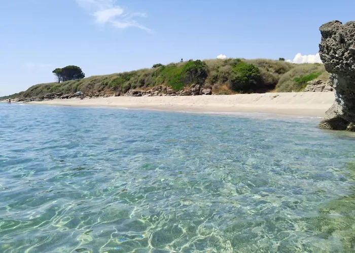 Climatizzato Di 42 Mq A Marina Di Bravone A 200m Dalla * Linguizzetta