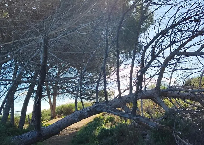 Climatizzato Di 42 Mq A Marina Di Bravone A 200m Dalla Daire